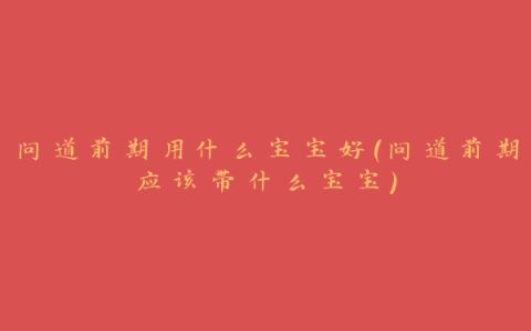 问道前期用什么宝宝好(问道前期应该带什么宝宝)