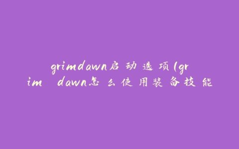 grimdawn启动选项(grim dawn怎么使用装备技能)