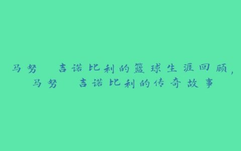 马努 吉诺比利的篮球生涯回顾,马努 吉诺比利的传奇故事