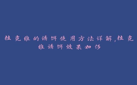 拉克维的诱饵使用方法详解,拉克维诱饵效果如何