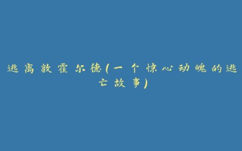 逃离敦霍尔德（一个惊心动魄的逃亡故事）