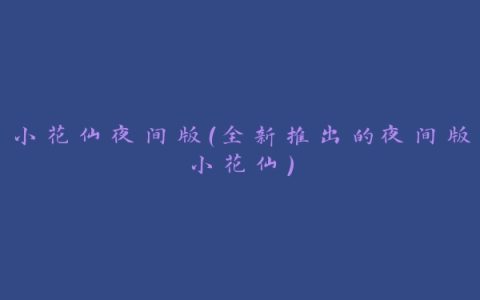 小花仙夜间版（全新推出的夜间版小花仙）