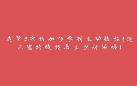 造梦3宠物如何学到主动技能(造三宠物技能怎么重新领悟)