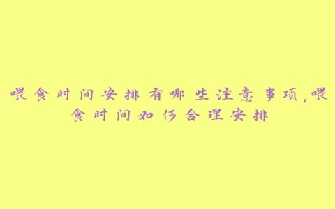 喂食时间安排有哪些注意事项,喂食时间如何合理安排