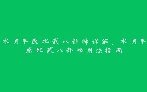 水月平原比武八卦牌详解，水月平原比武八卦牌用法指南